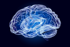 Neuropsychiatry Services